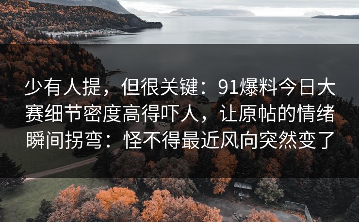 少有人提，但很关键：91爆料今日大赛细节密度高得吓人，让原帖的情绪瞬间拐弯：怪不得最近风向突然变了