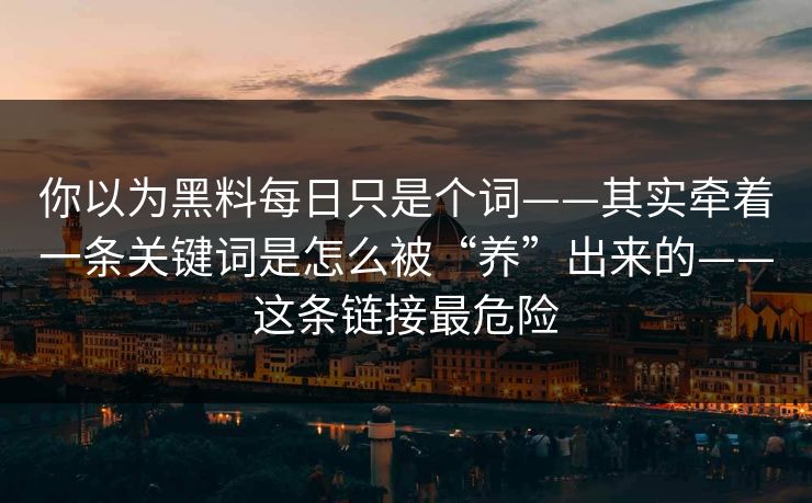 你以为黑料每日只是个词——其实牵着一条关键词是怎么被“养”出来的——这条链接最危险